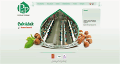 Desktop Screenshot of poyrazpoyraz.com
